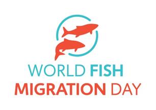 24 mei: World Fish Migration Day