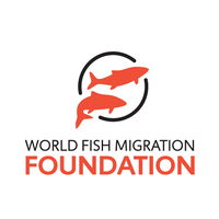 Amerikaanse prijs voor 'Oranje' World Fish Migration Foundation (video)