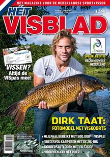 H&#233;t Visblad Online december 2013 (video)