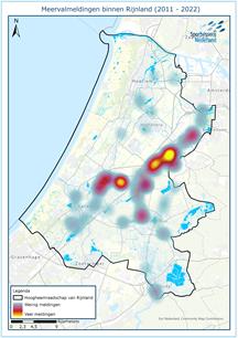 Meervalonderzoek Rijnland: populatie groeit en zwerft uit