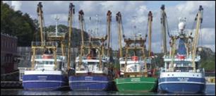 Urker vissers krijgen geldboete voor knoeien met vangstadministratie