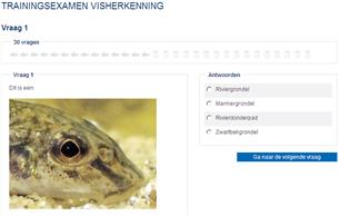 Vernieuwd: online cursus visherkenning