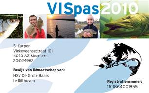 VISpas 2010 preview