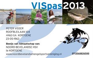 VISpas campagne 2013 (video)