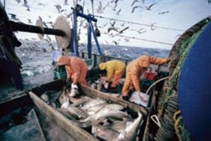 'We moeten stoppen met vissen'