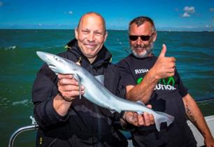 Zeevissen: Sharkatag 2016