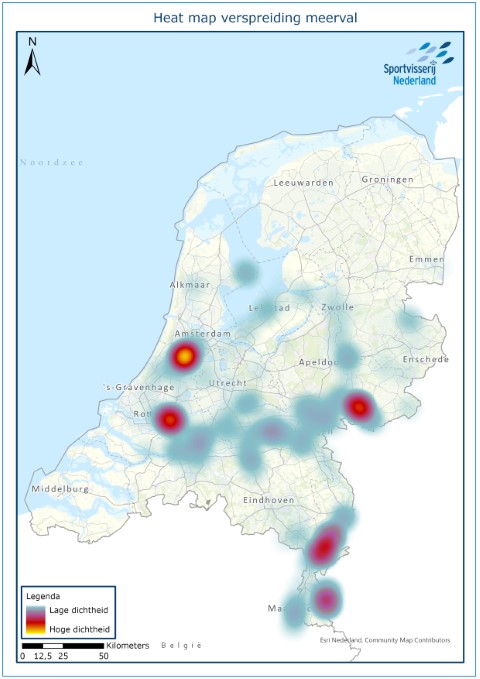 Heatmap opmars meerval in kaart gebracht