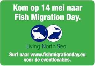 14 mei &#8220;Fish Migration Day&#8221;