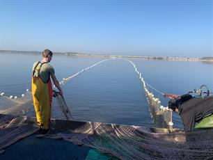 50% minder visserijdruk Zuidelijke Randmeren