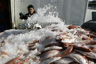 &#8220;Alle visserijlanden maken potje van visbeheer&#8221;