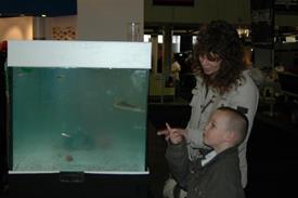 aquarium_zeevissen