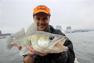 Australisch visprogramma in Nederland (video)