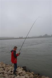 Barbeelwedstrijd 2009