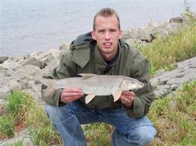 Barbeelwedstrijd 2009