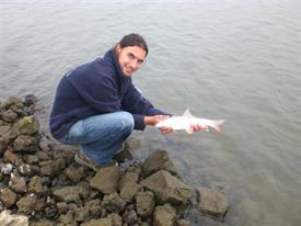 Barbeelwedstrijd 2009