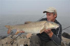 Barbeelwedstrijd 2009