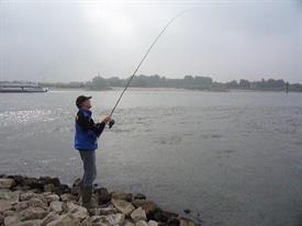 Barbeelwedstrijd 2009