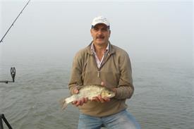 Barbeelwedstrijd 2009