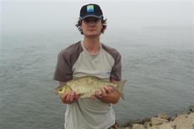 Barbeelwedstrijd 2009