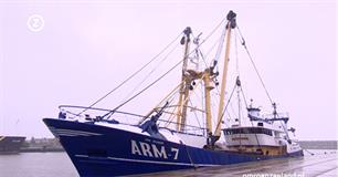 Bemanning viskotter aangehouden voor poging tot doodslag (video)