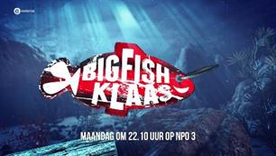 Big Fish Klaas gemist? Haaien en wahoo met Mr Polska in Kaapverdië (video)