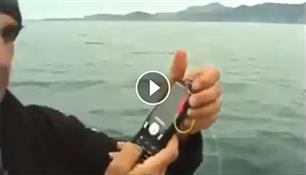 Bizar: vissen met je mobiel. Letterlijk. (video)
