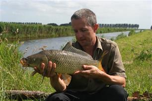 column - Beter een verre buur...