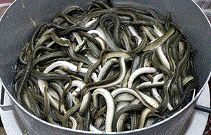 Dioxinepaling aan viskraam