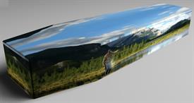 Doodskist vliegvissenprint