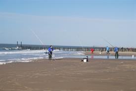 DSC_0123 overzicht (Custom)