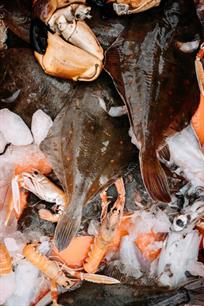 Duurzame vis moet duurder worden betaald