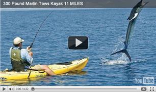 Extreme video: kayakvissen op marlijn (video)