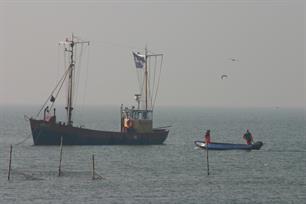 Forse beperking brasemvisserij op IJsselmeer en Markermeer