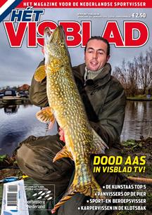 H&#233;t Visblad online januari 2014