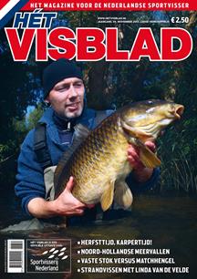 H&#233;t Visblad online nov. 2013