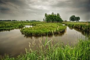 Hotspot: Tungelroyse beek (Limburg)