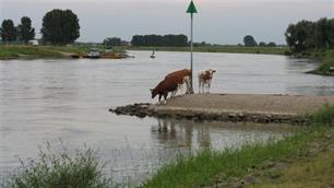 Hotspotzz uit de VISpas