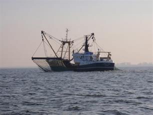 Illegale visserij op Haringvliet