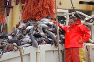 Jaarlijks miljoen ton vis over de reling