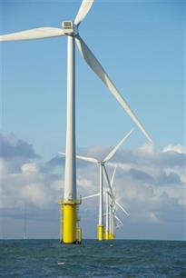 Kakofonie onder water