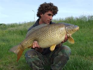 Karper - Penvissen in de havens: just do it!