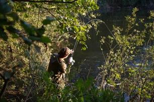 Karpervissen: kortere karperhengels, geen tekortkomingen