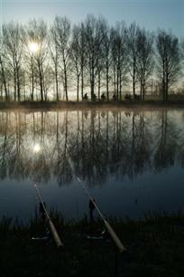 Karpervissen: op zijn karpers het jaar rond