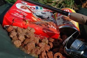 Karpervissen - Penvissen in de winter