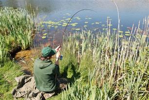 Karpervissen - Penvissen op een hoger niveau