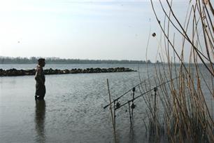 Karpervissen: rivierkarperen