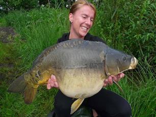 Karpervissen - Sta je mannetje