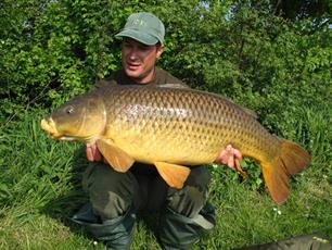 Karpervissen - Zomersucces met de maggot rig