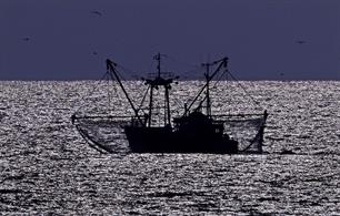 Kotter betrapt op vissen in beschermd gebied Noordzee