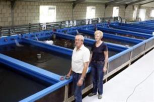 Kwekerij Bladel: vis neemt plek in van varkens in koeien